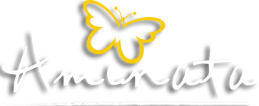 Aminata